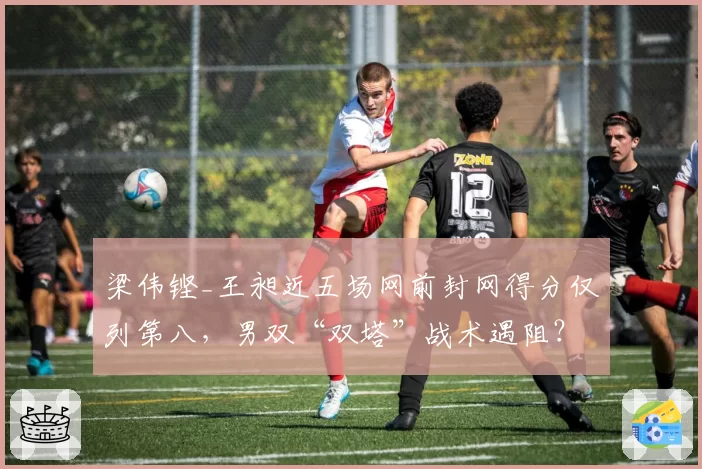 梁伟铿_王昶近五场网前封网得分仅列第八，男双“双塔”战术遇阻？